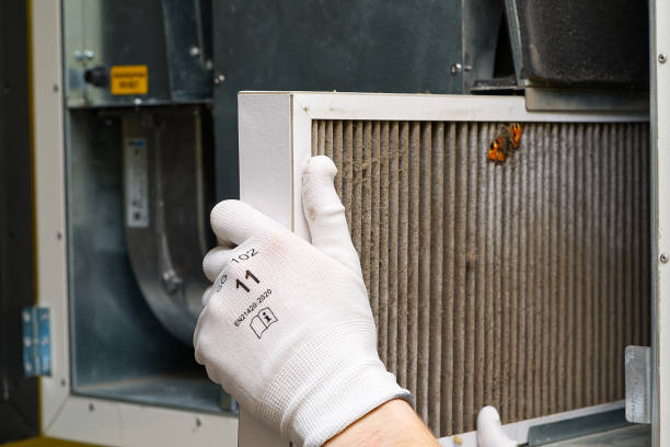 Best Air Quality Test  in San Anselmo, CA