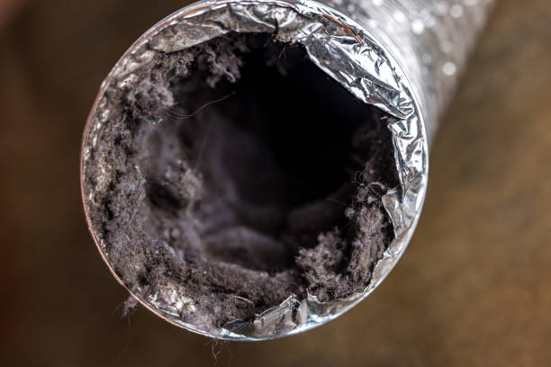 Best HVAC System Cleaning  in San Anselmo, CA
